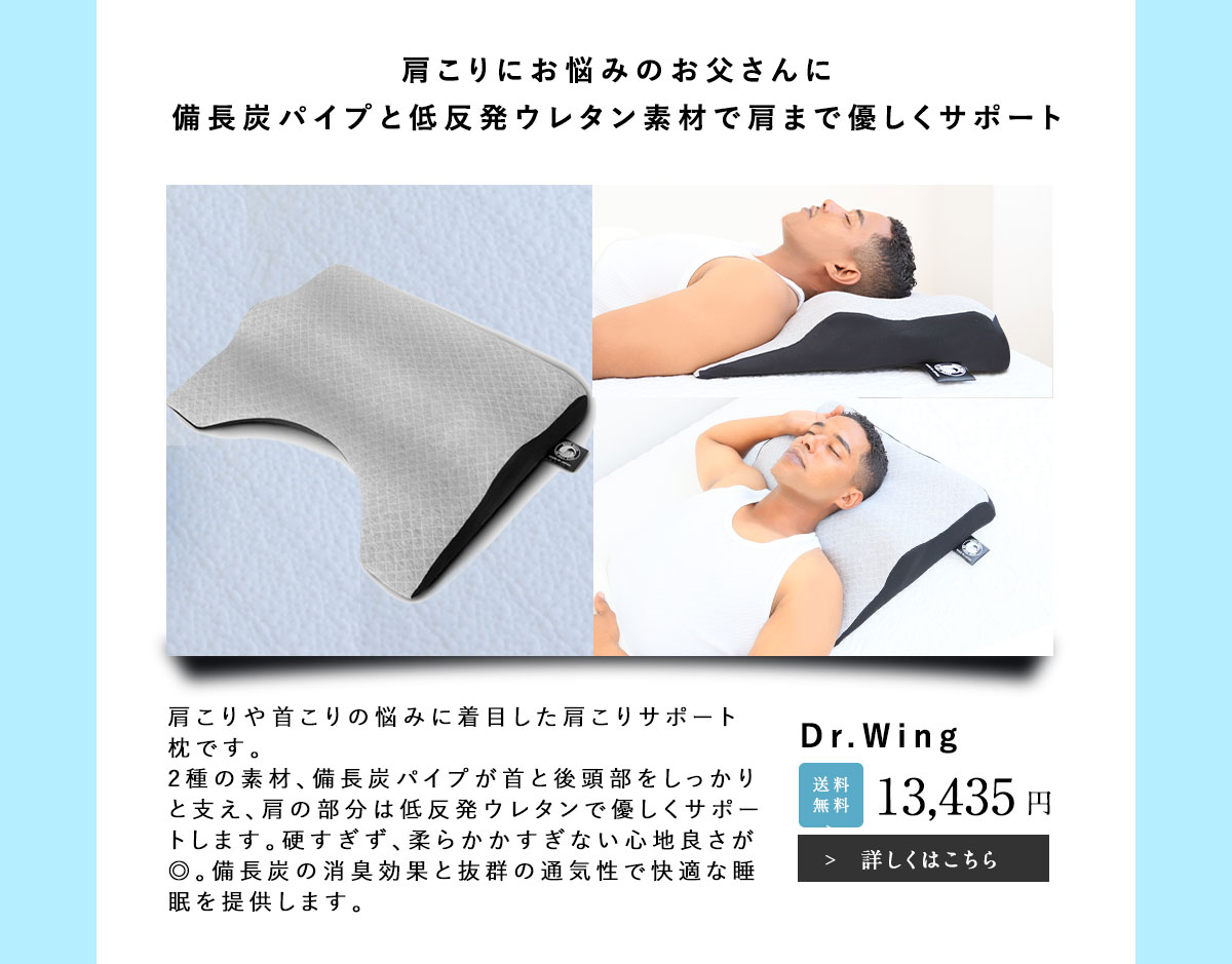 おすすめ父の日ギフトDr.Wing