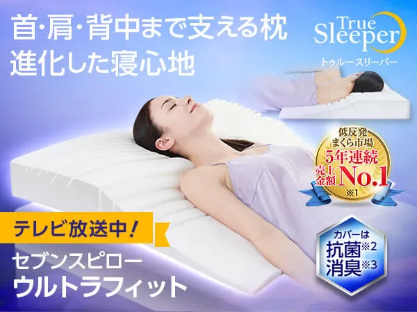 トゥルースリーパー 抗菌肌掛布団＆低反発万能まくら うらやましく