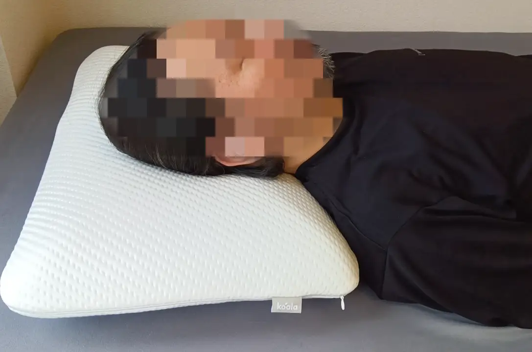 コアラ枕・仰向け