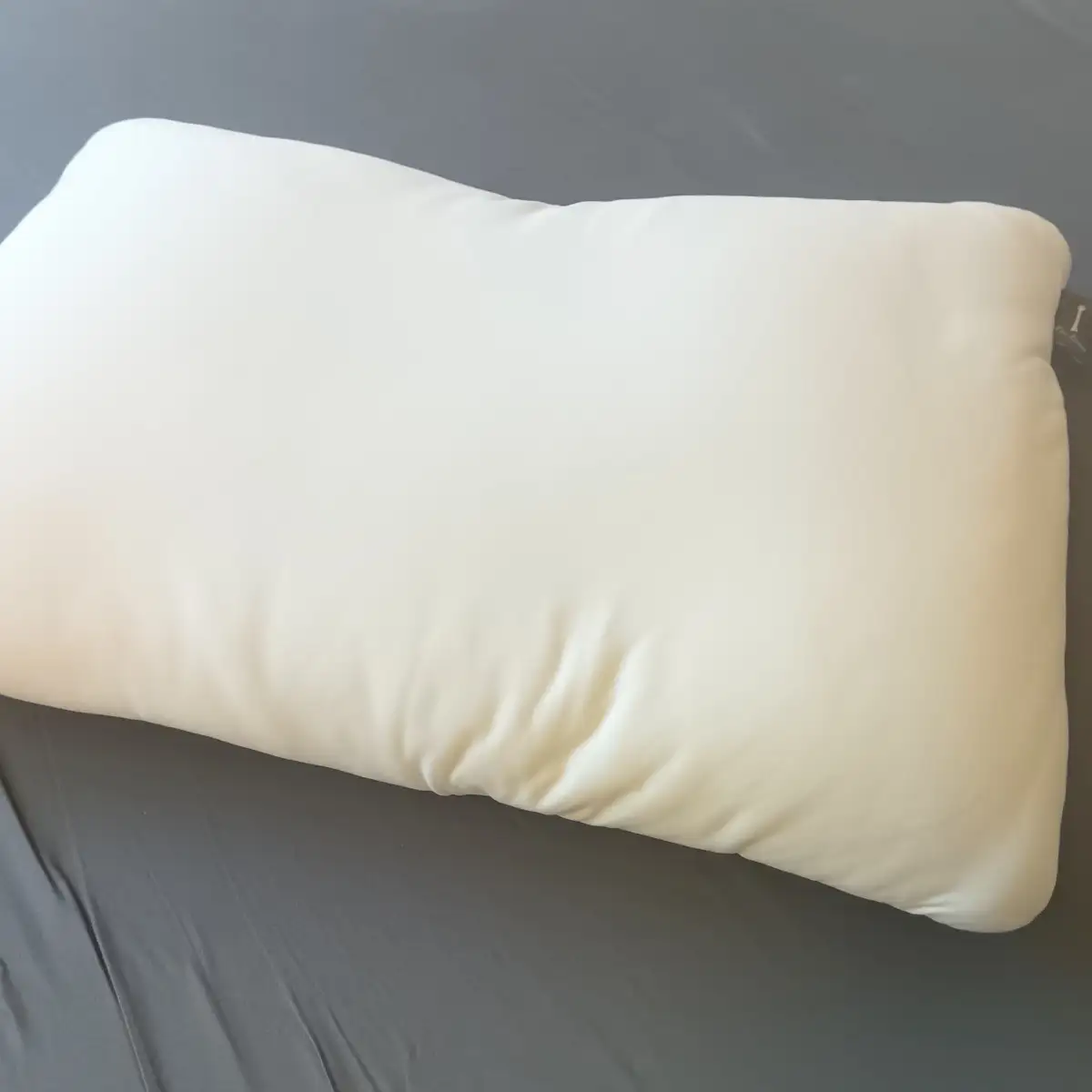 Dr.Bones Pillow・全体