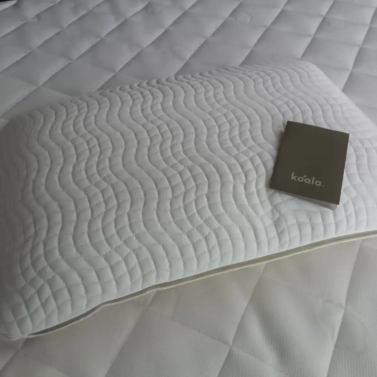 Koala Pillow Gen 2全体