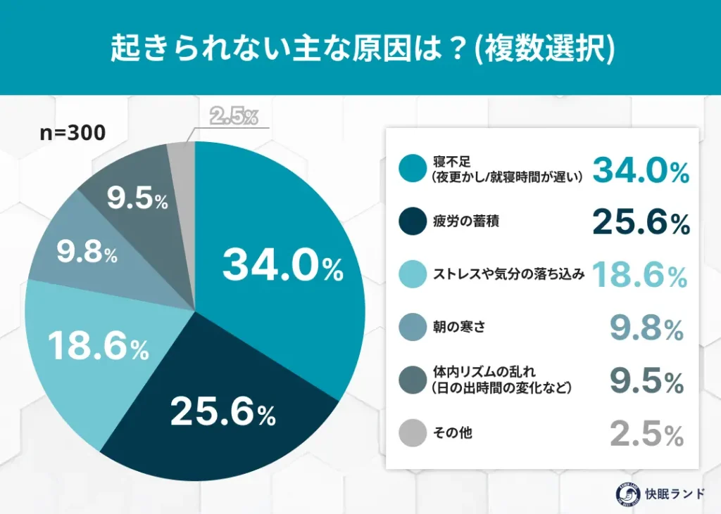 起きられない主な原因は？