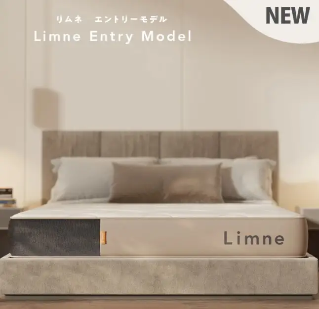 リムネエントリーモデル