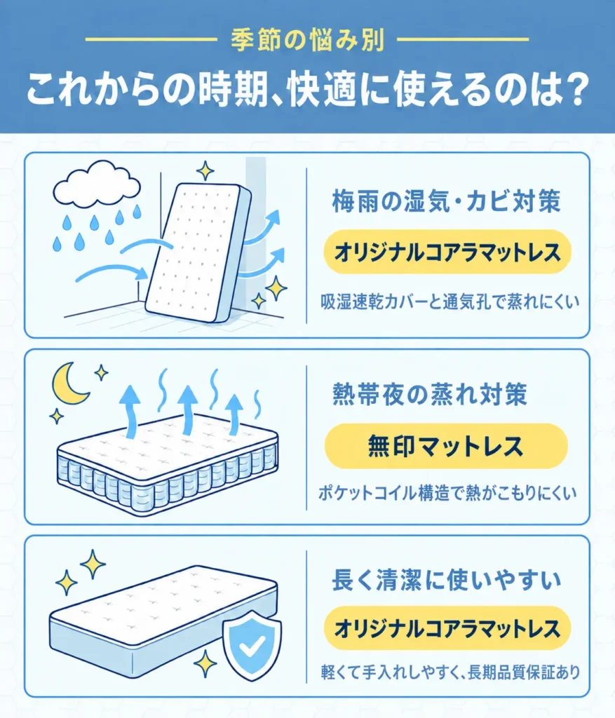 コアラ無印_これからの時期