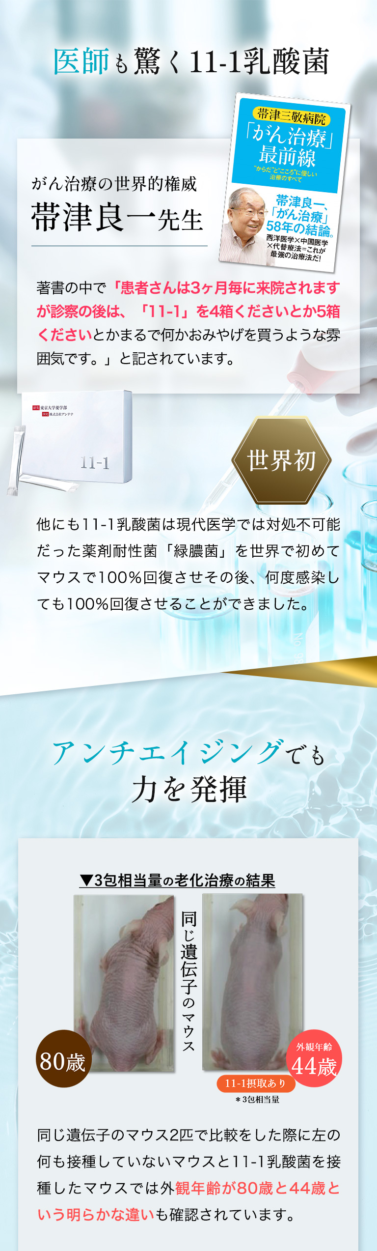 あなたの体と心を強くしてくれる乳酸菌サプリ11-1(いちいちのいち)